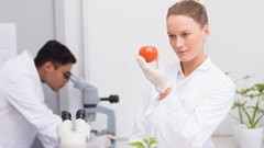 Στέλεχος Εργαστηρίων Τροφίμων στον Τομέα της Ποιότητας